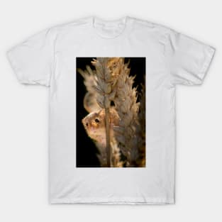 Harvest Mouse on Ear of Corn T-Shirt